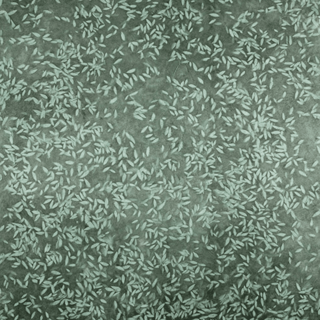 Solar Image Bundle - Image 10