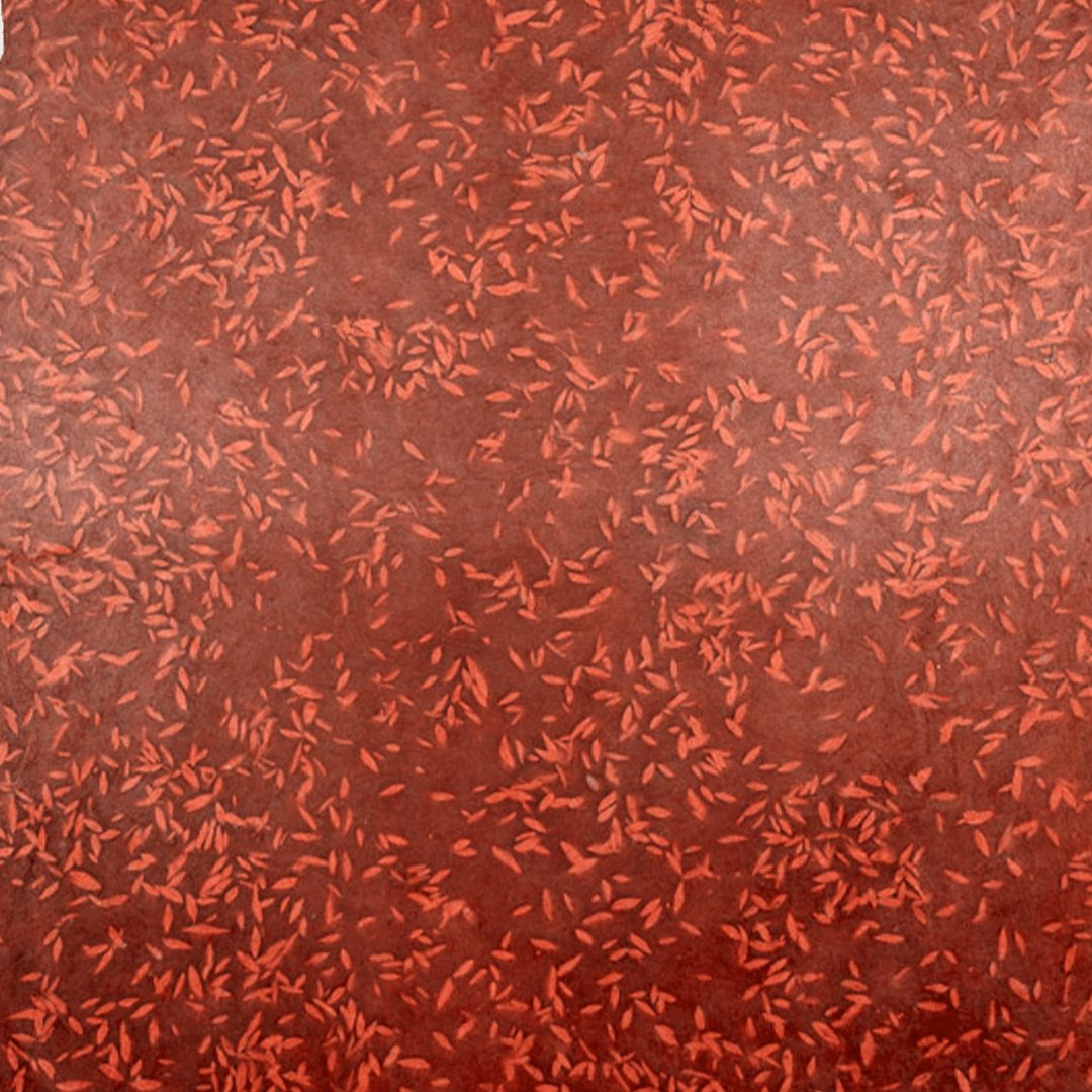 Solar Image Bundle - Image 11